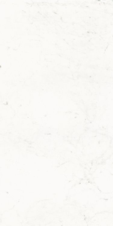 Pure Carrara Lux 24 x 48
